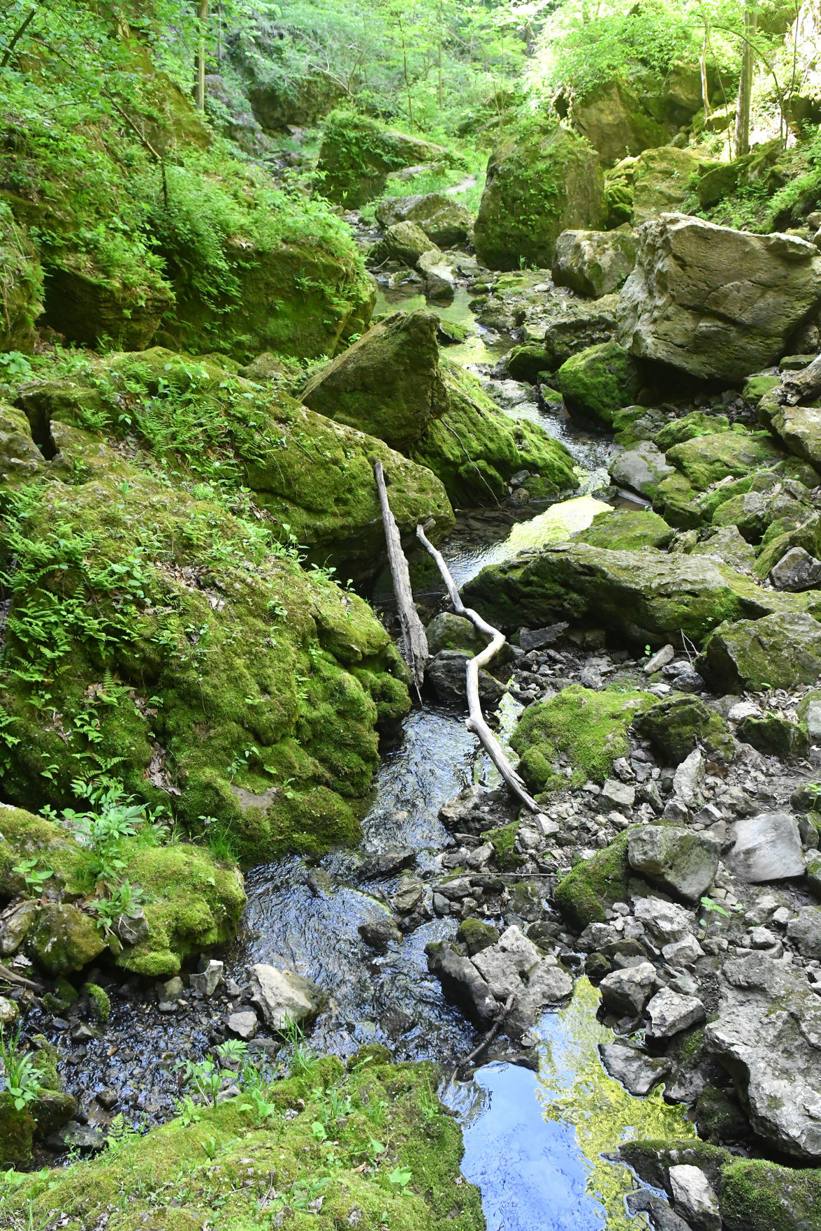 051321-qc-nws-maquoketacaves-143